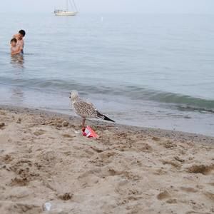 Meet your Posher, Natasha